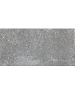 Sphinx Stone 59,8x119,8cm Grijs Mat (TB41101)