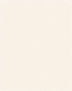 Mosa Holland2040 wit 20x25cm Wandtegel