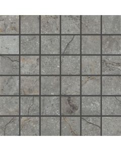 Douglas Jones Marbles Vloertegel Mozaiek.30X30cm Wells Ash 9,5mm Glans Ret.F:5X5cm