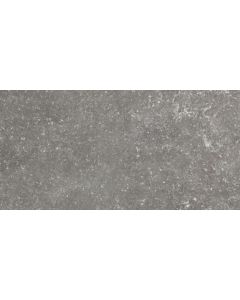 Douglas Jones Elemental Vloertegel 30X60cm Charme 10mm Sat.Ret.R9