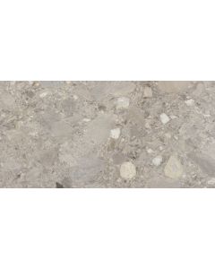 Cercom Ceppo di Gres 1077538 Vloertegel 60X120cm Grigio 9,5mm Mat Ret.R10
