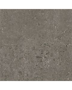 Serenissima Concreta 1081651 Vloertegel 60X60cm Antracite 9,5Mm Mat Ret.R10