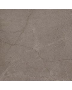 Beste Koop Exterior Uni 60x60cm L.brown Ext60-633