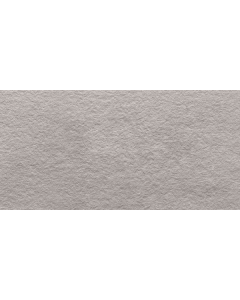 Mosa Terra Maestricht midden grijs 30x60cm Vloertegel