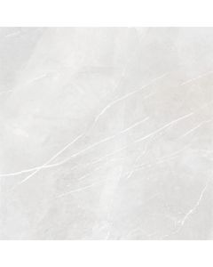Energieker Pietragrey White Lev. 120X120cm Glans