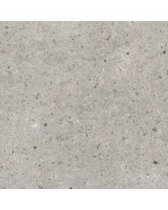 Villeroy & Boch Aberdeen 59,7x59,7cm Grijs Mat (2577SB60)