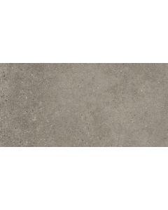 Panaria Context 30x60cm Grijs Mat (PG-XT40)