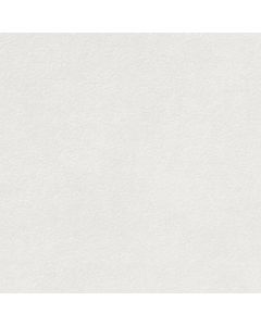 Rako Extra 19,8x19,8cm Wit Mat (DAR26722)