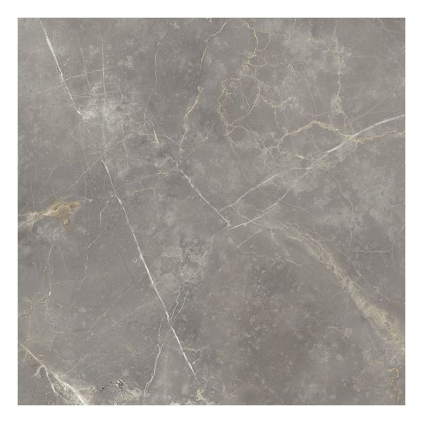 vtwonen Tegels Classic 100108 Vloertegel 60X60cm Grey 10mm Mat Ret.R9
