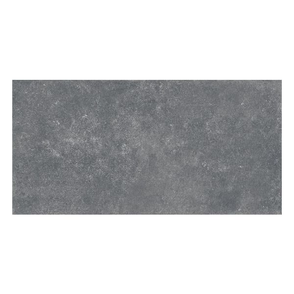 1495856-emil-chateau-40x80cm-noir-vloertegel
