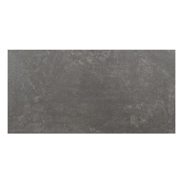 1495866-emil-chateau-60x120cm-noir-vloertegel