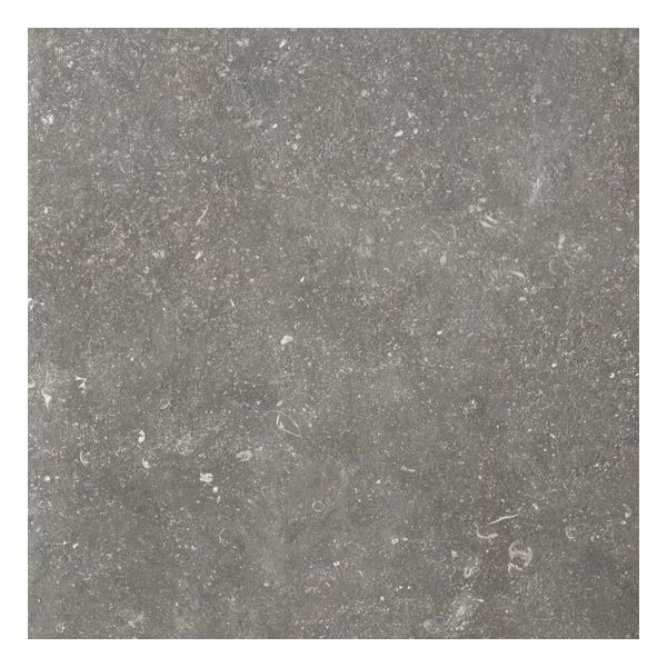 Douglas & Jones Elemental 60x60cm Charme Vloertegel (773358 10Mm Mat Ret.R10)