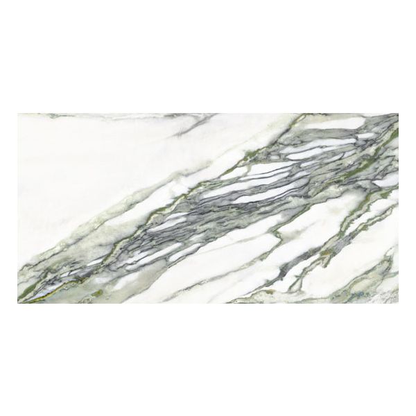 Douglas Jones Moods Vloertegel 60X120cm Marmer Green Lap.9Mm Glans Ret