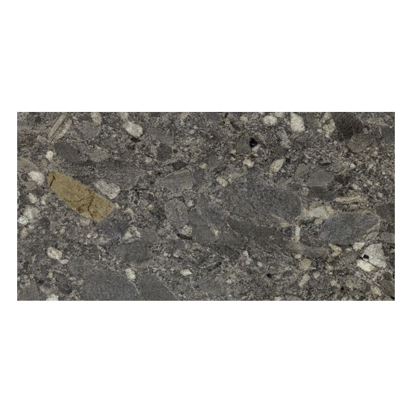 Cercom Ceppo di Gres 1077539 Vloertegel 60X120cm Nero 9,5mm Mat Ret.R10