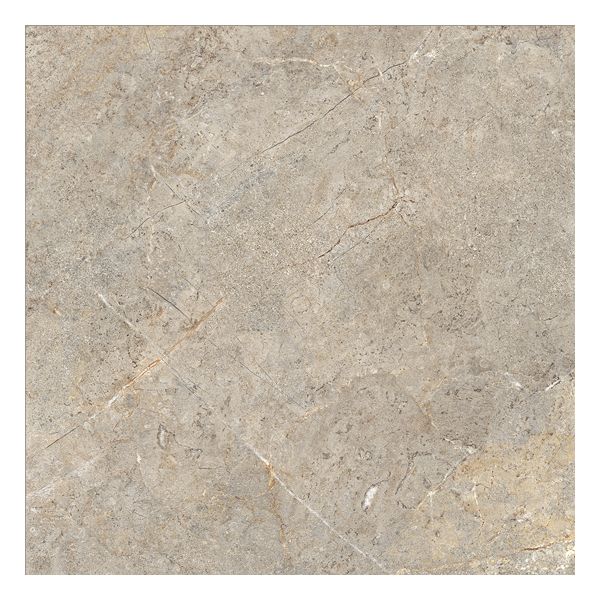 Cercom Everstone 1089328 Vloertegel 100X100cm Everbrown 8,5mm Mat Ret.R10