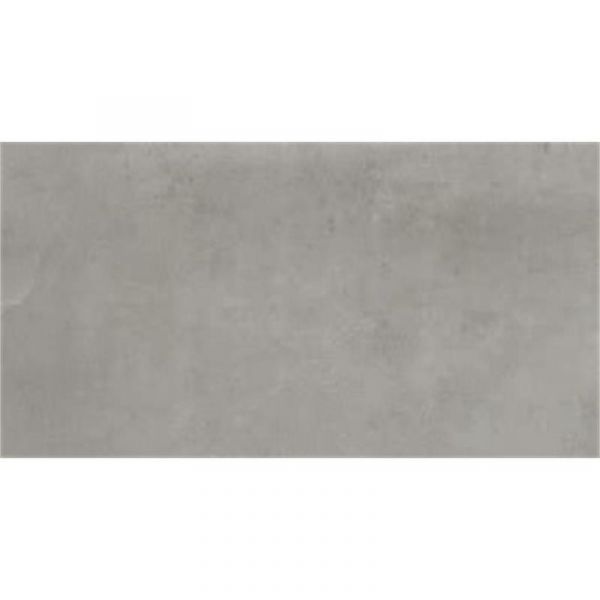 Argenta Powder Argent 30X60cm Mat