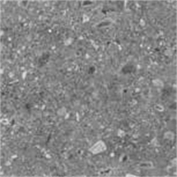 Energieker Ceppo Di Gré Anthracite 120X120cm Mat
