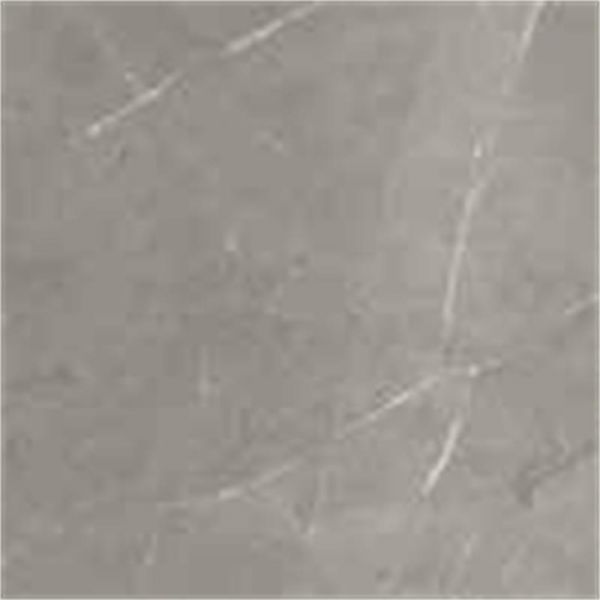 Energieker Pietragrey Fog Nat. 120X120cm Mat