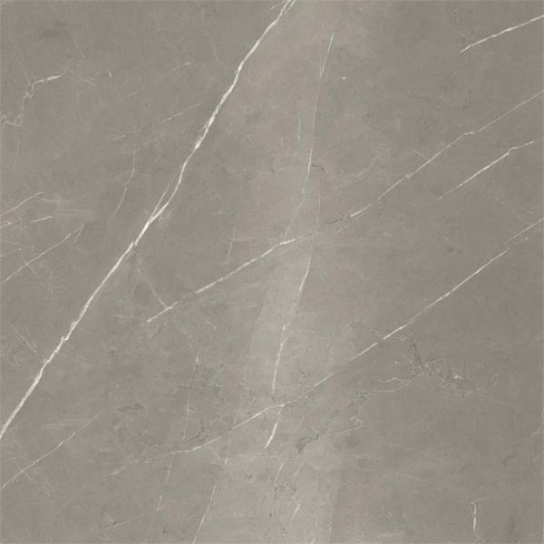 Energieker Pietragrey Fog Lev. 120X120cm Glans