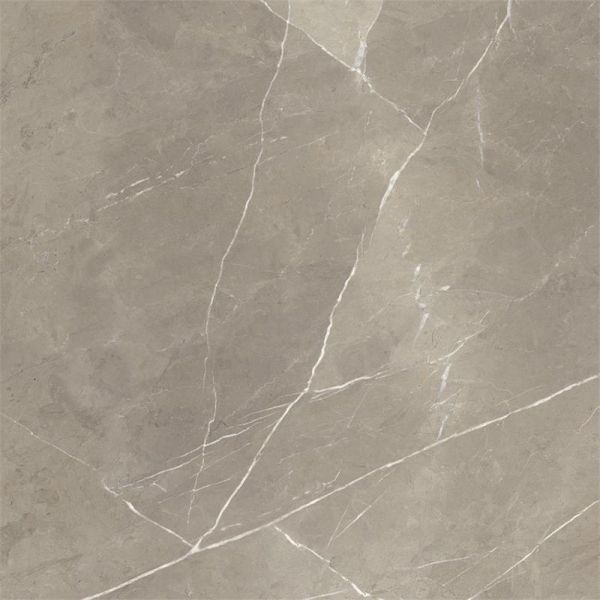 Energieker Pietragrey Taupe Lev. 120X120cm Glans