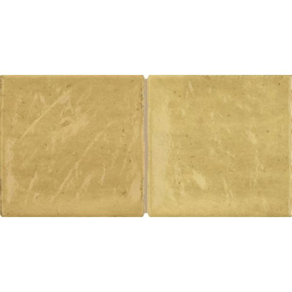 Baerwolf Fleri 10x20cm Geel glans KE-26104