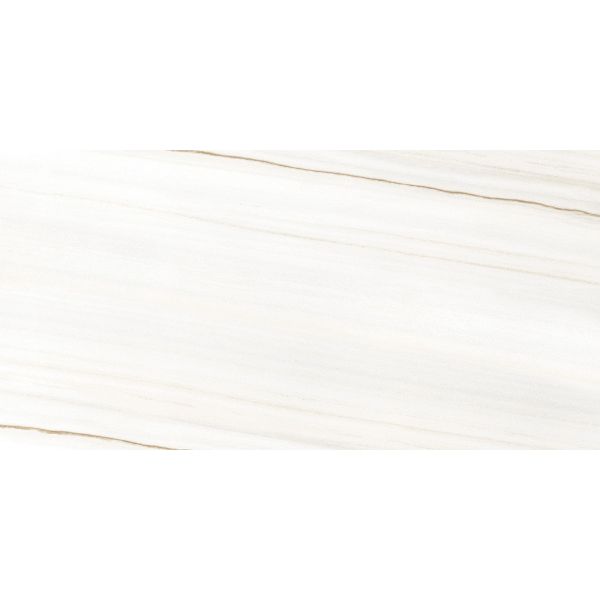 Rondine Canova 60x120cm Wit Mat (J88855)