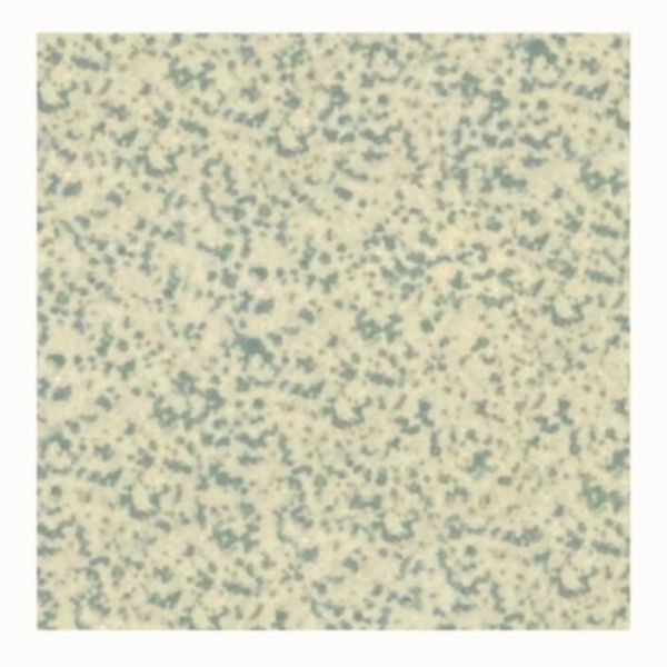 Winckelmans Squares 30,8x30,8cm Groen 020CA04CF20209
