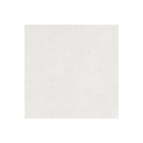 Rako Extra 19,8x19,8cm Wit Mat (DAR26722)
