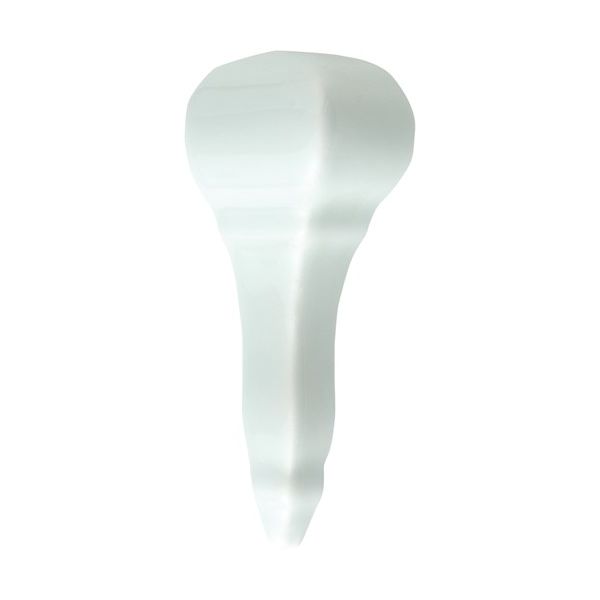 Studio Angulo Artisan Fern